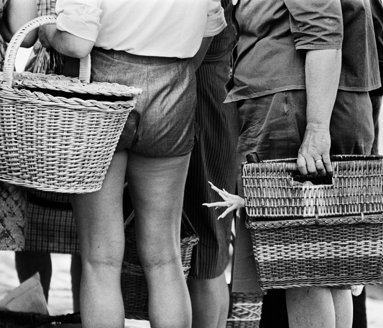 Pata que quiere tocar pierna, Banyoles, Girona, 1966