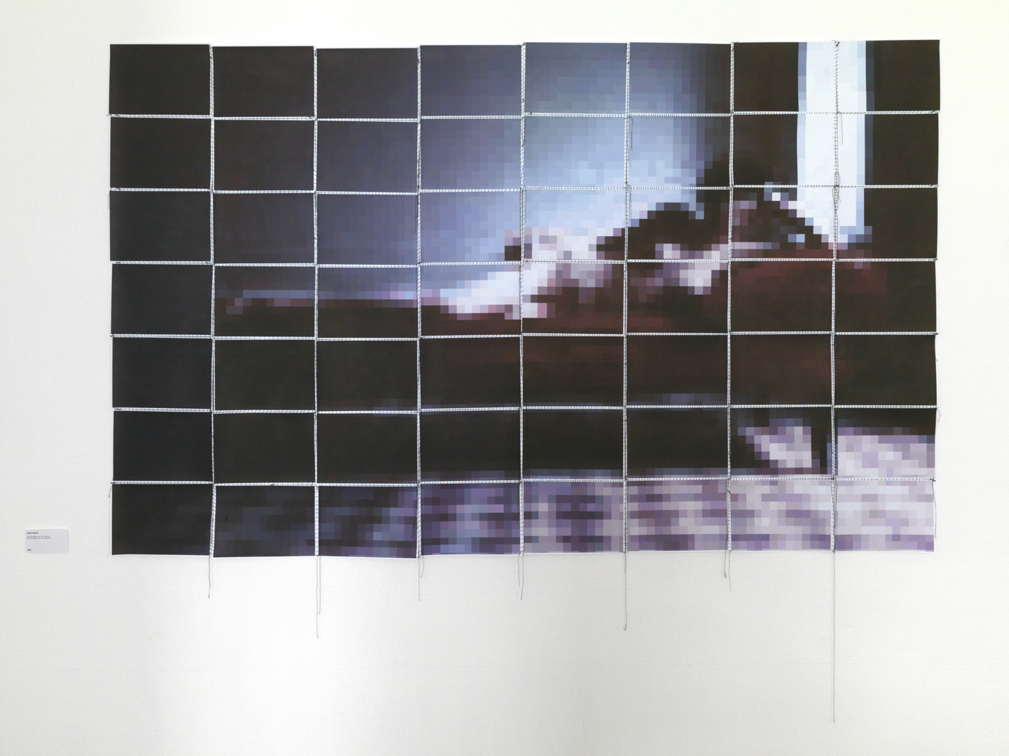 Tanja Lazetić, Olympia, 2012, digital print, installation view (foto Dejan Habicht)
