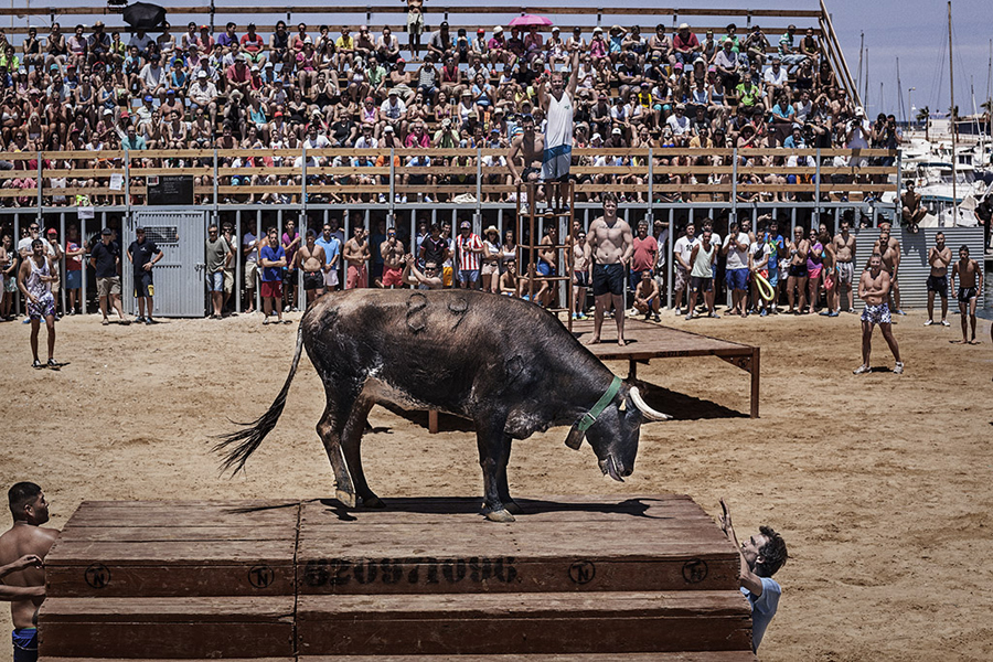 Santa Fiesta. Quique Carvajal