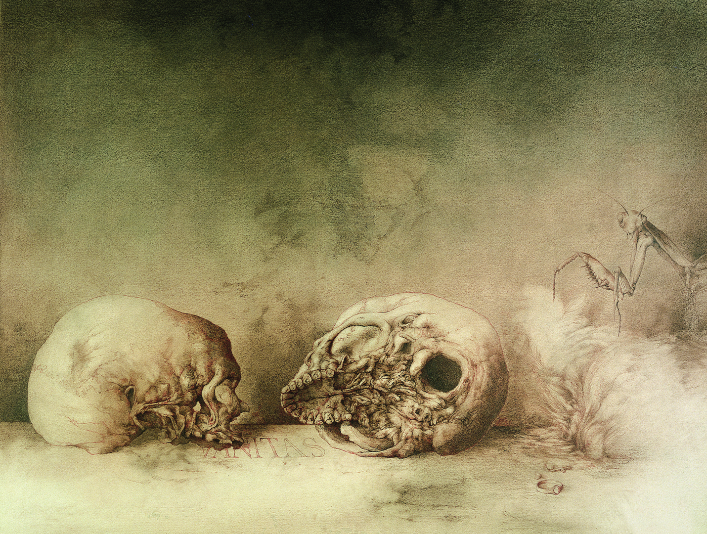Vanitas X. 1985. Lápiz y tinta. 50 x 65 cm. Colección Familia José Hernández © José Hernández. VEGAP, Madrid 2015
