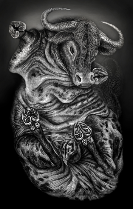 Toro. Miguel Scheroff