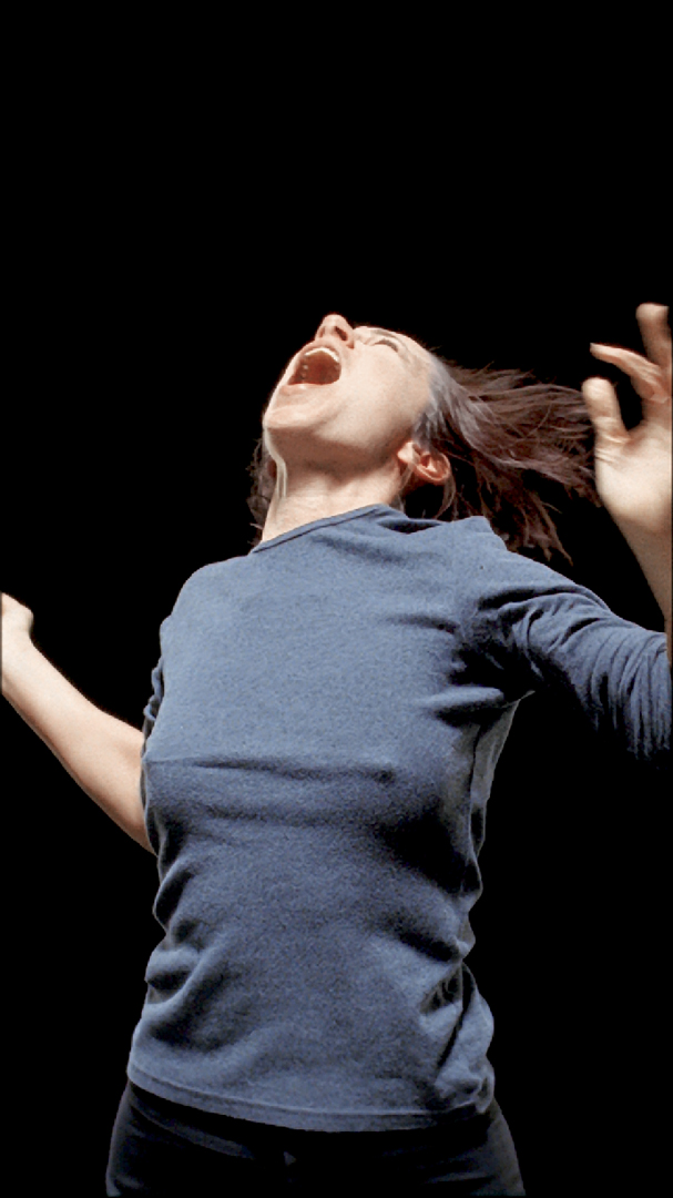 Bill Viola. Silent Mountain (III). © Kira Perov